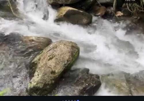 Sítio,Venda,SITIO,1187