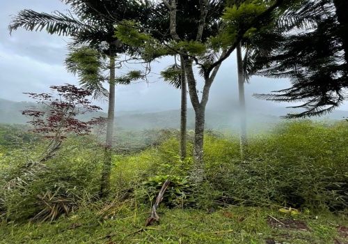 Sítio,Venda,SITIO,1187