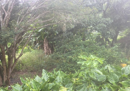 Casa,Venda,CASA,1190