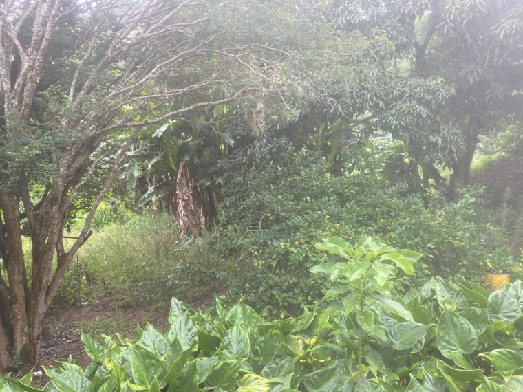 Casa,Venda,CASA,1190