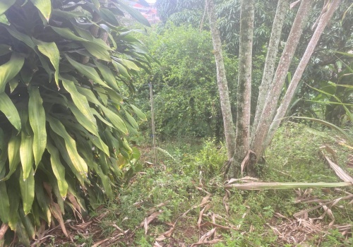 Casa,Venda,CASA,1190