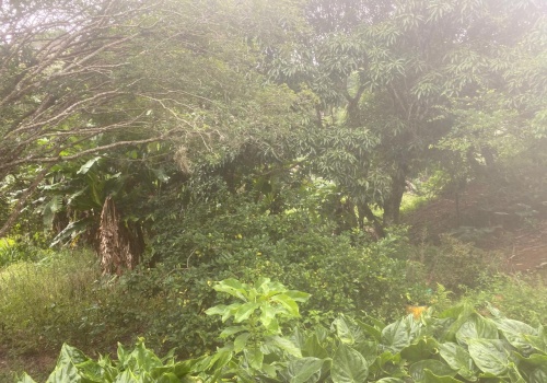 Casa,Venda,CASA,1190