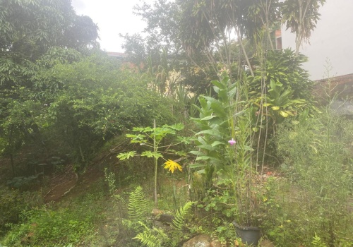 Casa,Venda,CASA,1190