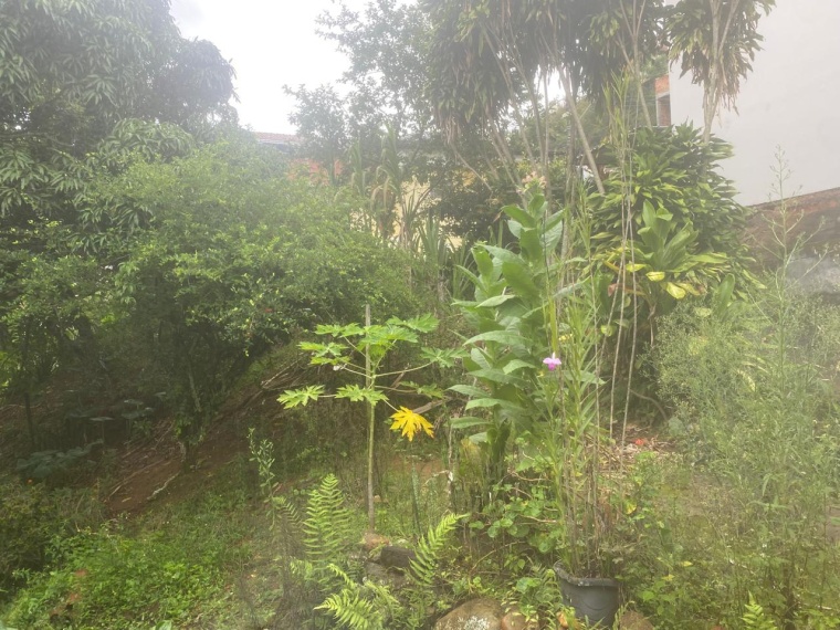 Casa,Venda,CASA,1190