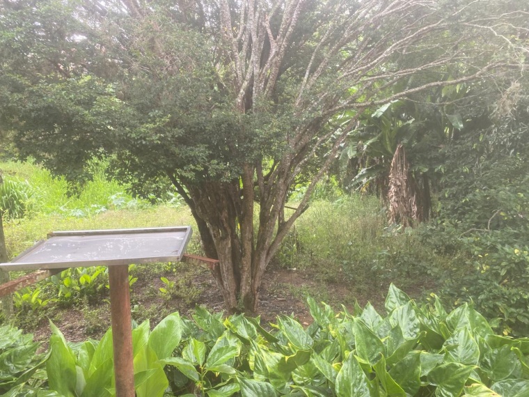 Casa,Venda,CASA,1190