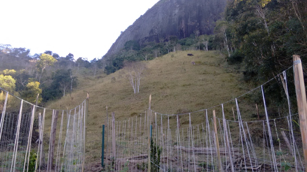 Sítio,Venda,Sítio com 27.000,00m² de terras, com uma casa simples,1019