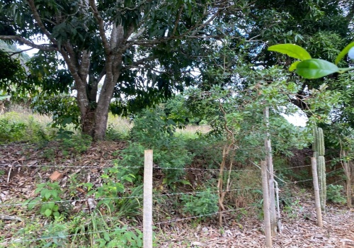 Chácaras,Venda,CHACARA,1209