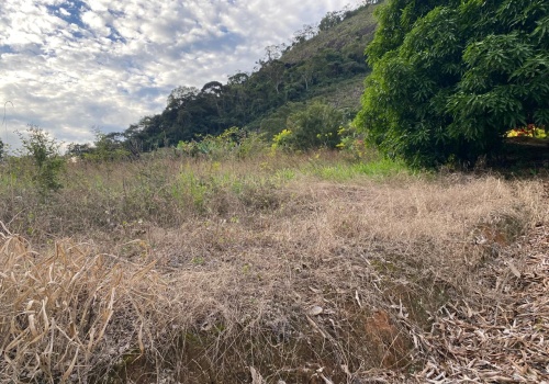 Chácaras,Venda,CHACARA,1209