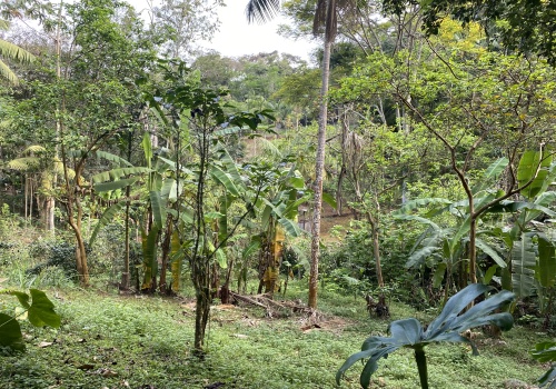 Sítio,Venda,SITIO,1211 Sítio,Venda,SITIO,1211