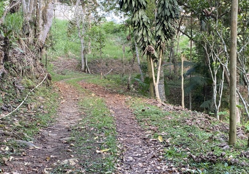 Sítio,Venda,SITIO,1211 Sítio,Venda,SITIO,1211