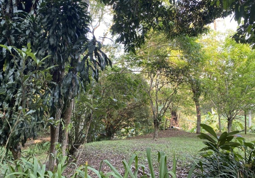 Sítio,Venda,SITIO,1211 Sítio,Venda,SITIO,1211