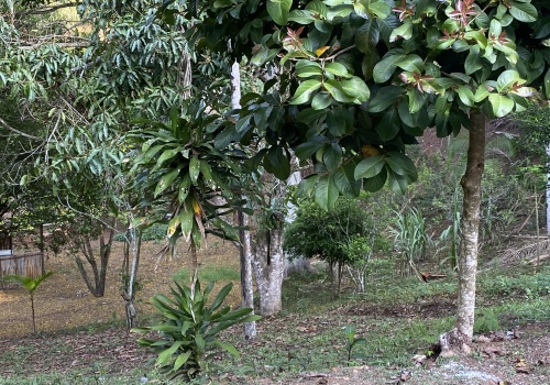 Sítio,Venda,SITIO,1211 Sítio,Venda,SITIO,1211