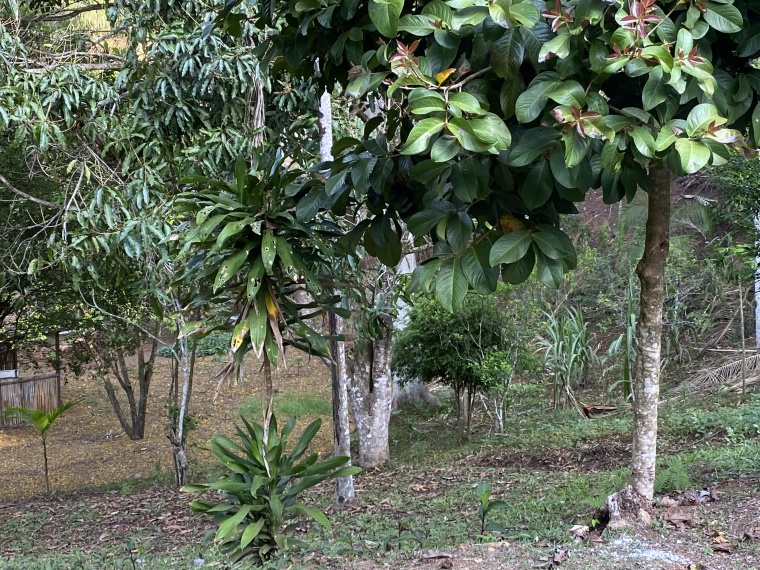Sítio,Venda,SITIO,1211