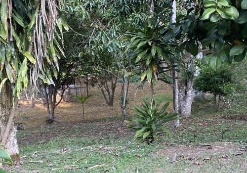 Sítio,Venda,SITIO,1211 Sítio,Venda,SITIO,1211