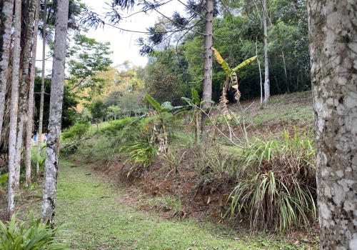 Sítio,Venda,SITIO,1211 Sítio,Venda,SITIO,1211