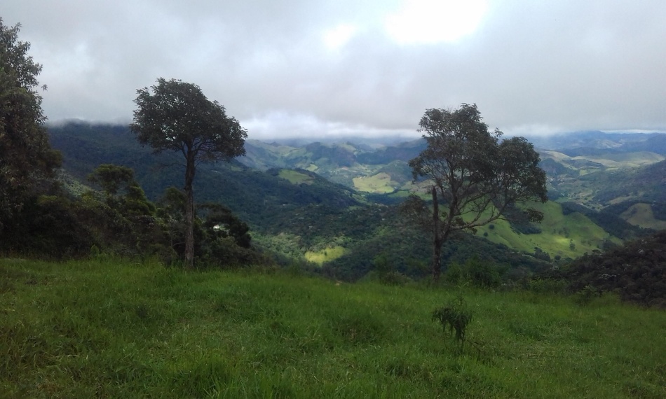 Sítio,Venda,Sítio em Macabu, com 86.000m² de terras,1022
