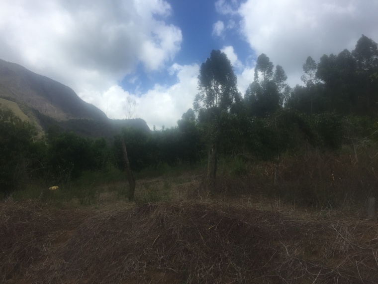 Sítio,Venda,Sítio em Macabu, com 86.000m² de terras,1022