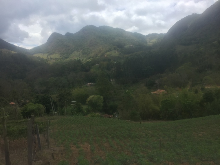 Sítio,Venda,Sítio em Macabu, com 86.000m² de terras,1022