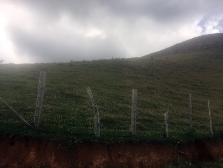 Sítio,Venda,Sítio em Macabu, com 86.000m² de terras,1022