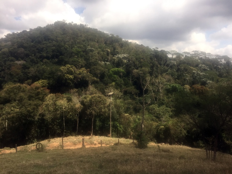 Sítio,Venda,Sítio em Macabu, com 86.000m² de terras,1022