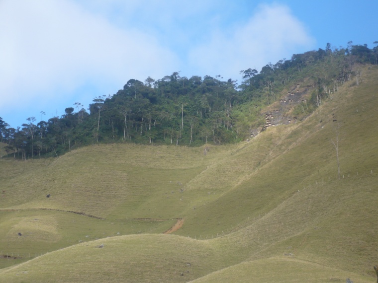 Sítio,Venda,Sítio com 17 alq., em pastagens, boa nascente,1038