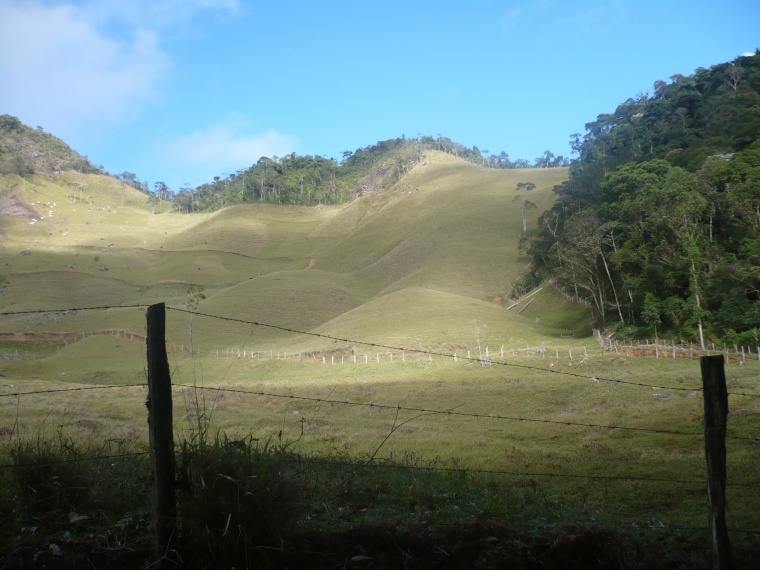 Sítio,Venda,Sítio com 17 alq., em pastagens, boa nascente,1038