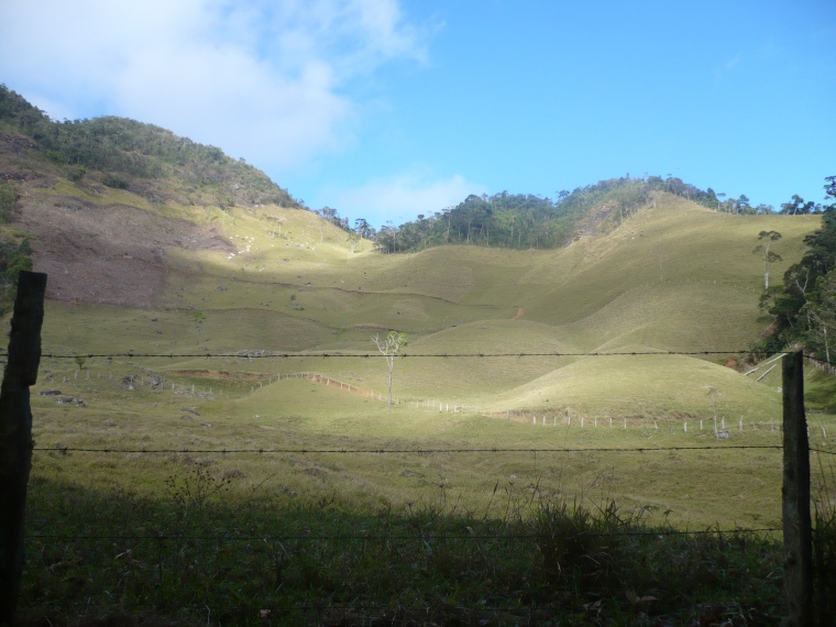 Sítio,Venda,Sítio com 17 alq., em pastagens, boa nascente,1038