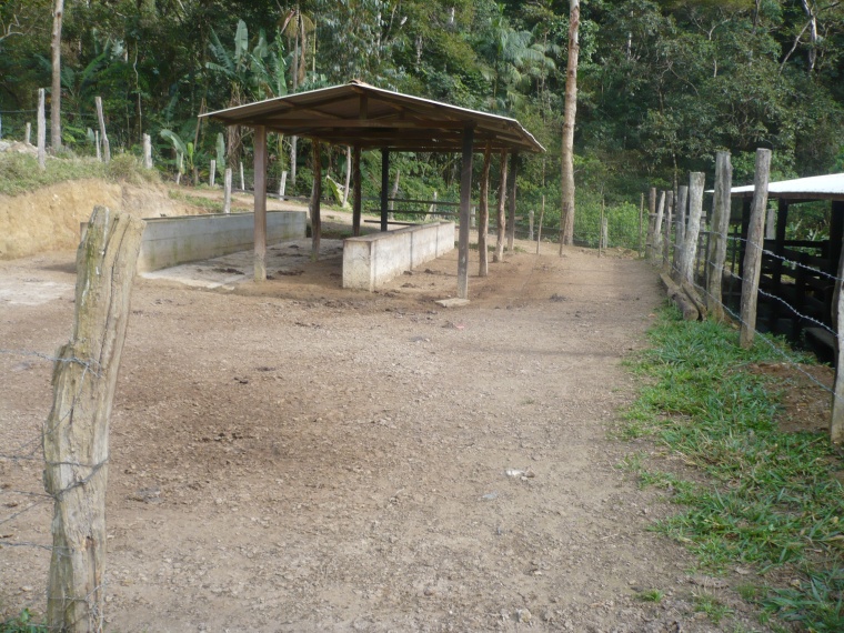 Sítio,Venda,Sítio com 17 alq., em pastagens, boa nascente,1038