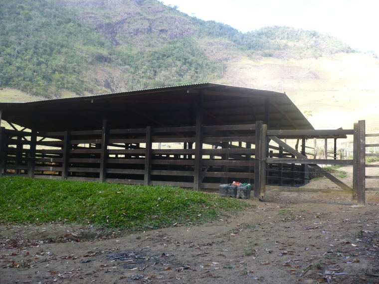 Sítio,Venda,Sítio com 17 alq., em pastagens, boa nascente,1038