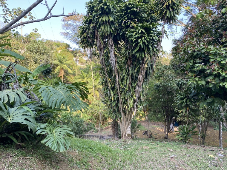 Sítio,Venda,Belíssimo sítio próximo ao centro de Bom Jardim,1041