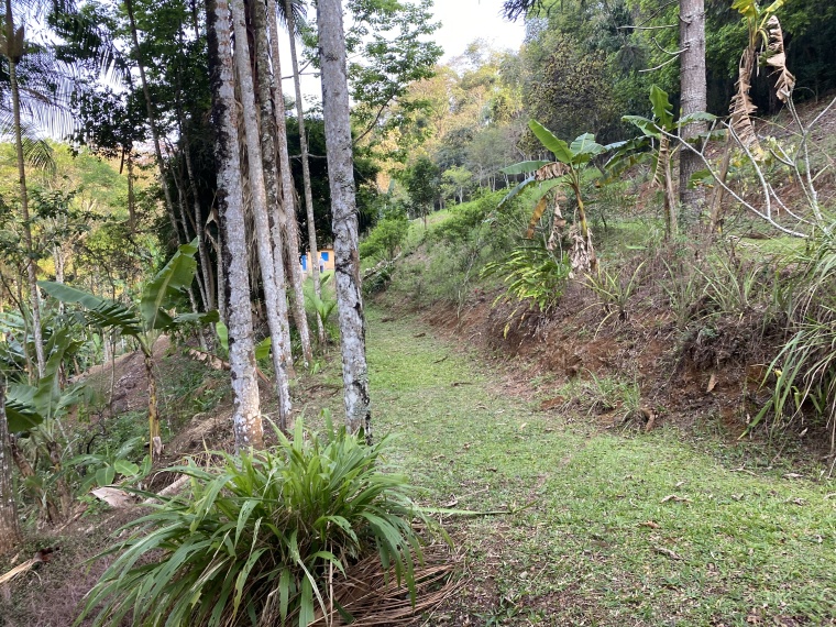 Sítio,Venda,Belíssimo sítio próximo ao centro de Bom Jardim,1041