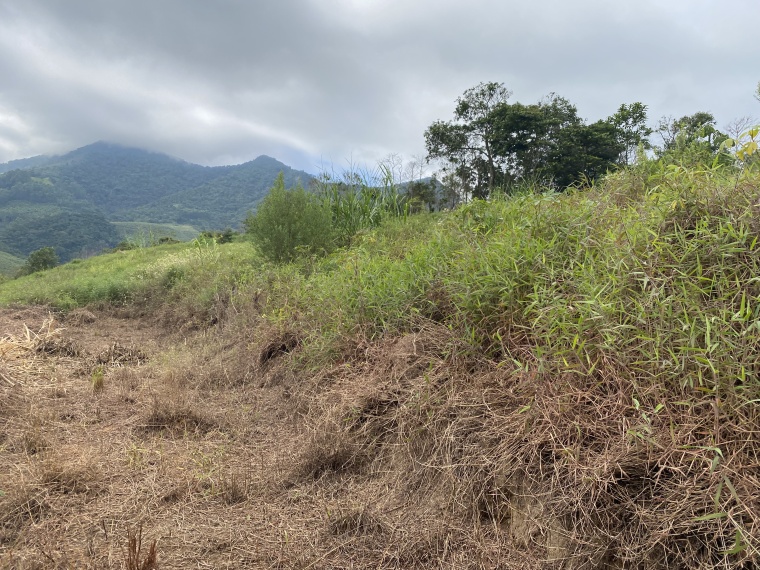 Sítio,Venda,SITIO,1059