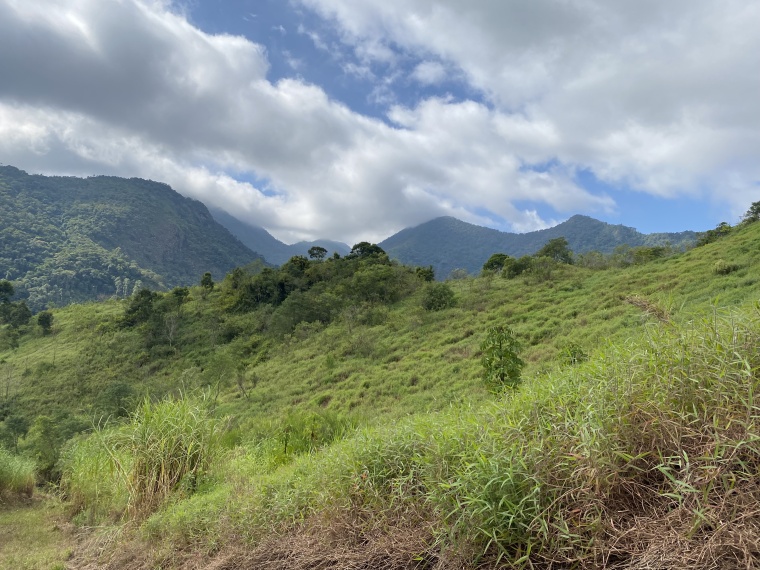 Sítio,Venda,SITIO,1059