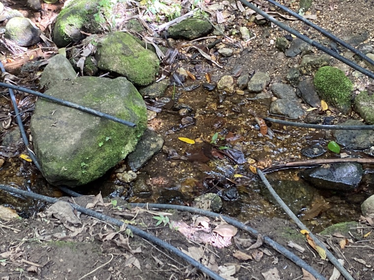 Sítio,Venda,SITIO,1059