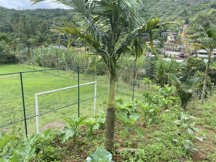 Chácaras,Venda,CHÁCARA,1067