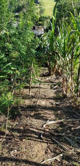 Chácaras,Venda,CHÁCARA,1067