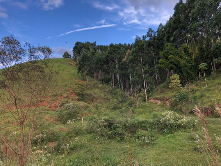 Sítio,Venda,SÍTIO,1078