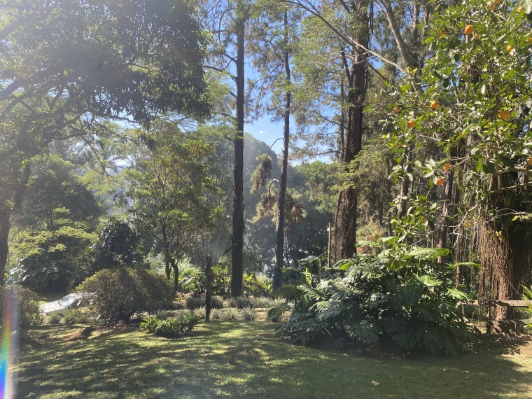 Sítio,Venda,SÍTIO,1085