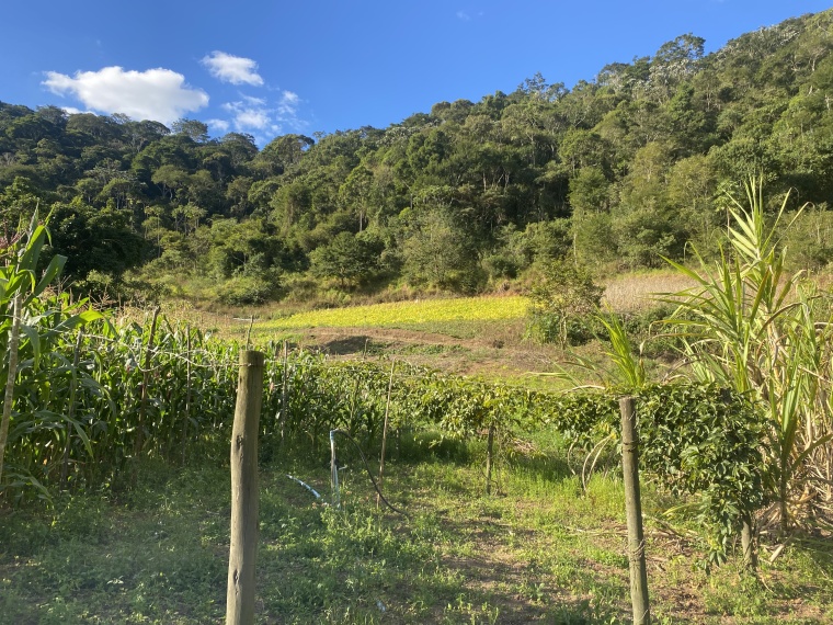 Sítio,Venda,SÍTIO,1089