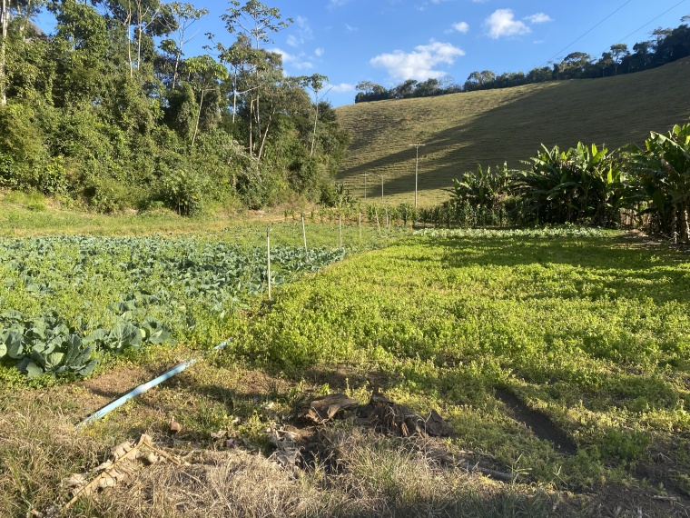 Sítio,Venda,SÍTIO,1089