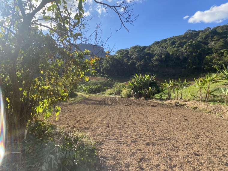 Sítio,Venda,SÍTIO,1089