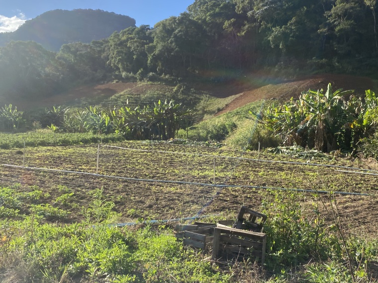 Sítio,Venda,SÍTIO,1089