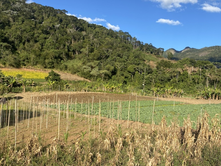 Sítio,Venda,SÍTIO,1089