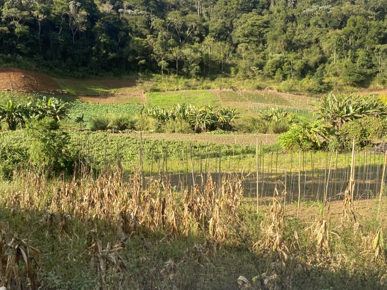 Sítio,Venda,SÍTIO,1089