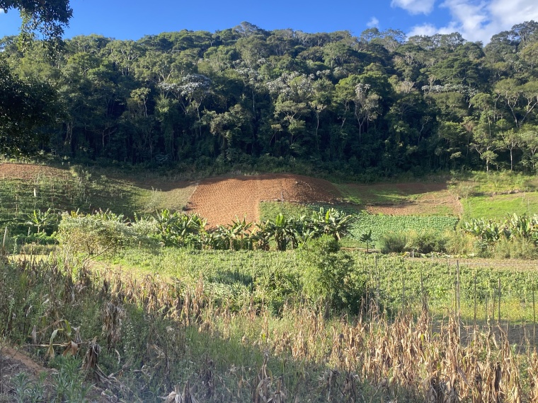 Sítio,Venda,SÍTIO,1089