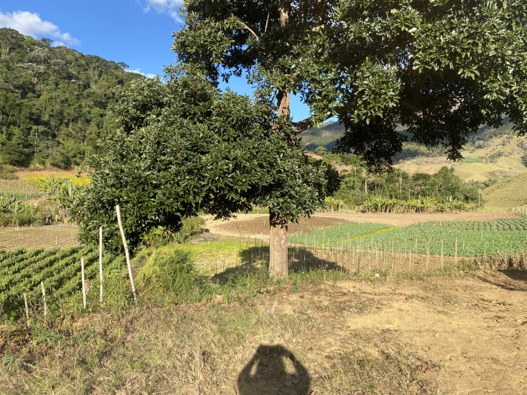 Sítio,Venda,SÍTIO,1089