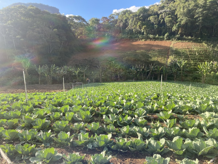 Sítio,Venda,SÍTIO,1089