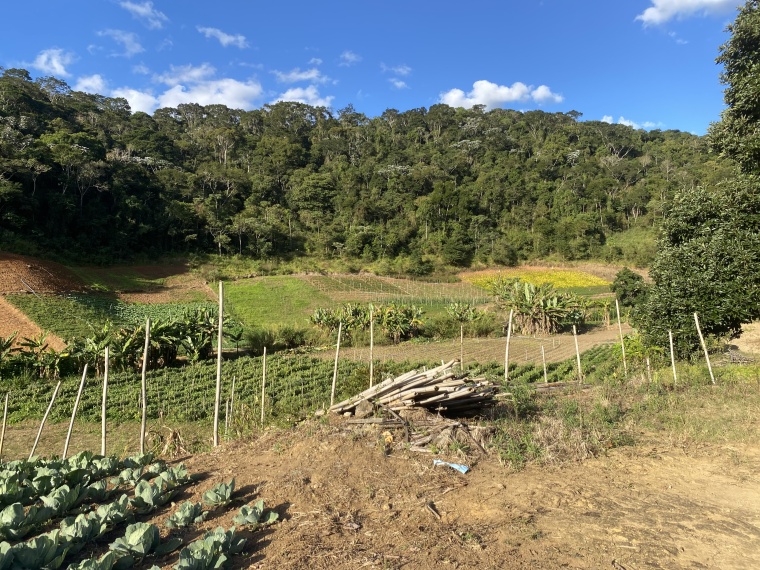 Sítio,Venda,SÍTIO,1089