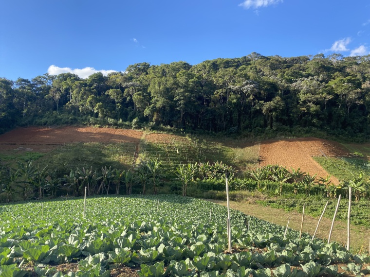 Sítio,Venda,SÍTIO,1089