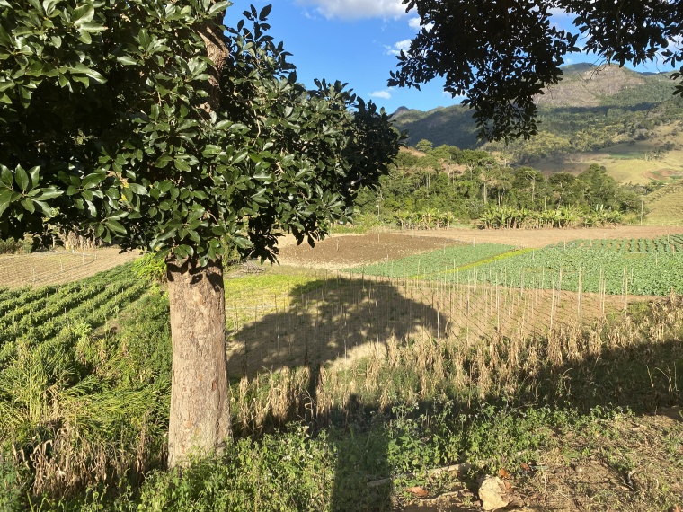 Sítio,Venda,SÍTIO,1089